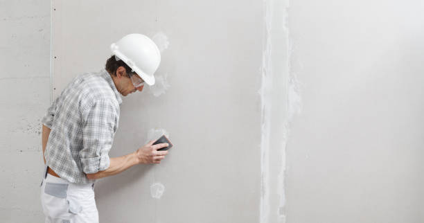 Best Repainting for Renovations  in West Hollywood, CA